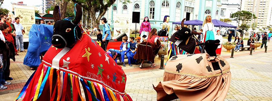 tipos de cultura