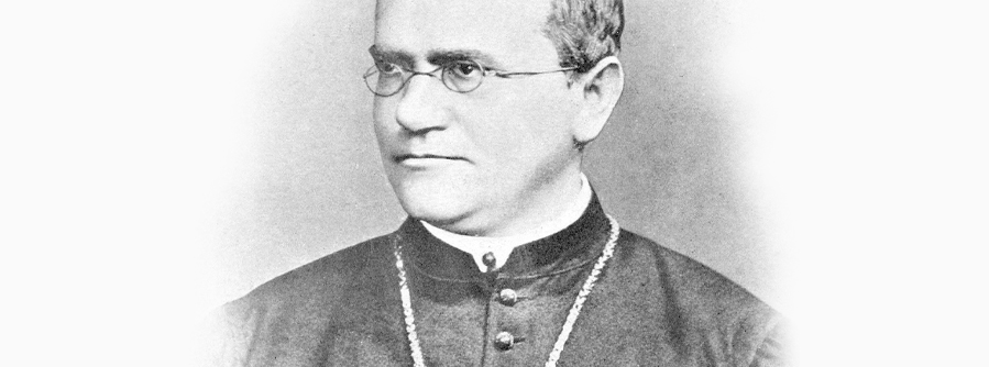 lei de mendel